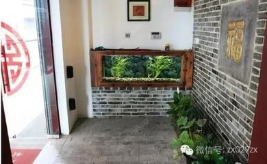 對(duì)著進(jìn)戶(hù)門(mén)放魚(yú)缸好嗎：對(duì)著進(jìn)戶(hù)門(mén)放魚(yú)缸好還是不好 對(duì)著進(jìn)戶(hù)門(mén)放魚(yú)缸好嗎：對(duì)著進(jìn)戶(hù)門(mén)放魚(yú)缸好還是不好 魚(yú)缸百科 第1張
