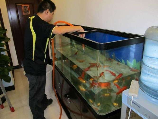 玻璃膠能補魚缸嗎：如何選擇合適的玻璃膠粘制魚缸