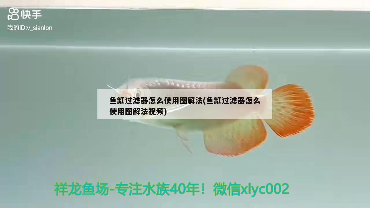 魚缸過濾器怎么使用圖解法(魚缸過濾器怎么使用圖解法視頻)