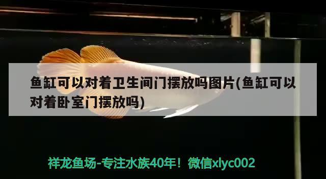 魚缸可以對著衛生間門擺放嗎圖片(魚缸可以對著臥室門擺放嗎)
