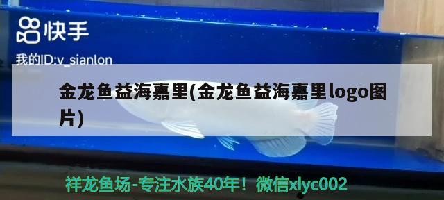 博特二代魚缸價格 博特f款魚缸