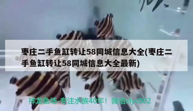 棗莊二手魚缸轉讓58同城信息大全(棗莊二手魚缸轉讓58同城信息大全最新)