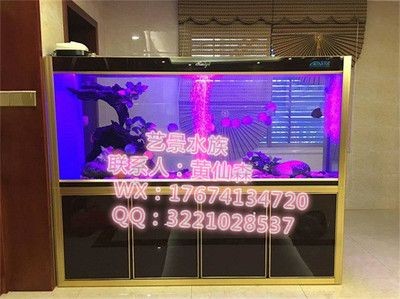 大型魚缸一天用多少電量:大型魚缸一天用電量多少? 魚缸百科 第1張 大型魚缸一天用多少電量:大型魚缸一天用電量多少? 大型魚缸一天用多少電量:大型魚缸一天用電量多少? 魚缸百科 第1張
