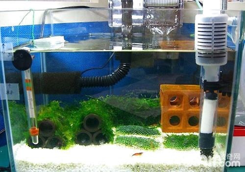 不用電自制魚缸循環(huán)水怎么做