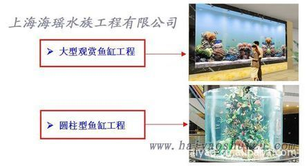 大型魚缸訂制價格：大型魚缸定制價格