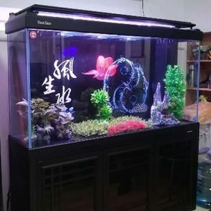 魚缸過濾器選購指南:自制魚缸過濾器魚缸上置過濾器對于養魚愛好者的必備知識 森森底濾改造:根據搜索結果整理的森森底濾改造方法和注意事項 森森魚缸 森森底濾改造:根據搜索結果整理的森森底濾改造方法和注意事項 森森底濾改造:根據搜索結果整理的森森底濾改造方法和注意事項 森森魚缸