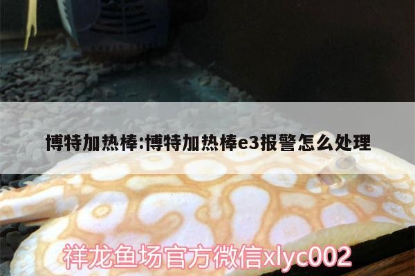 博特加熱棒:博特加熱棒e3報警怎么處理 博特加熱棒:博特加熱棒e3報警怎么處理 博特水族