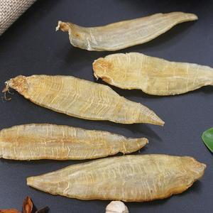 小金龍魚膠建議買嗎