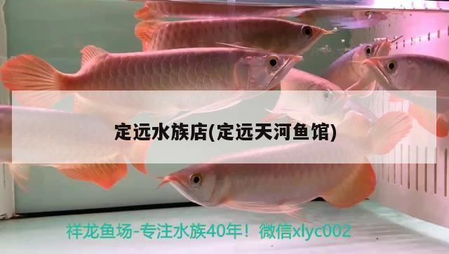 定遠水族店(定遠天河魚館) 定遠水族店(定遠天河魚館) 虎魚百科