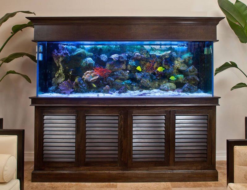 白色魚缸背景圖高清大圖：白色魚缸背景圖圖片大全