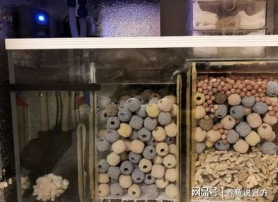 側濾魚缸如何實現干濕分離效果視頻：側濾魚缸實現干濕分離的方法和優點干濕分離的方法
