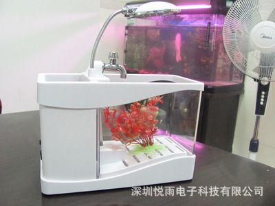 玻璃魚缸加工廠：邯鄲市永年區瓜井博潤玻璃魚缸加工廠