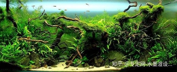 玻璃膠粘魚缸能用幾年嗎有毒嗎：玻璃膠粘魚缸使用壽命主要取決于所使用的玻璃膠類型和魚缸的使用壽命