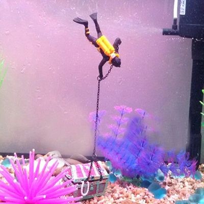 虎魚缸造景的藝術：微景觀魚缸的創意實踐