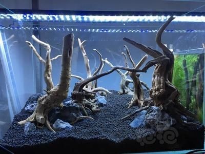 純石頭魚缸造景圖:純石頭魚缸造景技巧魚缸造景技巧魚缸造景技巧