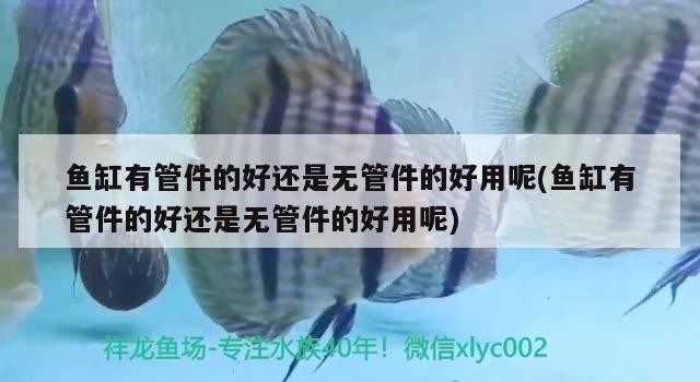 魚缸用增氧泵價格是多少:魚缸增氧機-xtrac增氧機-xtrac增氧機 魚缸有管件的好還是無管件的好用呢(魚缸有管件的好還是無管件的好用呢) 虎魚百科 魚缸有管件的好還是無管件的好用呢(魚缸有管件的好還是無管件的好用呢) 魚缸有管件的好還是無管件的好用呢(魚缸有管件的好還是無管件的好用呢) 虎魚百科