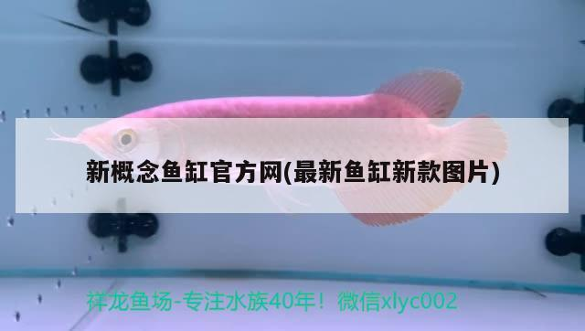 新概念魚缸官方網(最新魚缸新款圖片)