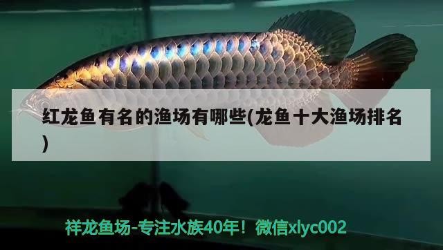 魚缸石頭造景教程：魚缸石頭造景教程圖片：石頭造景教程，魚缸石頭造景教程