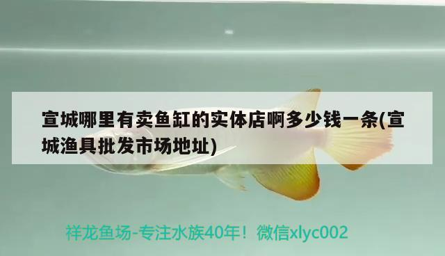 <strong><mark>宣城</mark></strong>哪里有賣魚缸的實體店啊多少錢一條(<strong><mark>宣城</mark></strong>漁具批發市場地址)