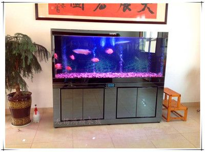 搬家魚缸不帶走怎么辦：魚缸搬家方法 搬家魚缸不帶走怎么辦：魚缸搬家方法 魚缸百科 第3張