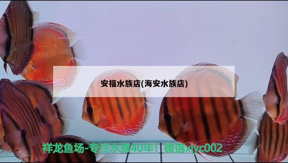 安福水族店(海安水族店)