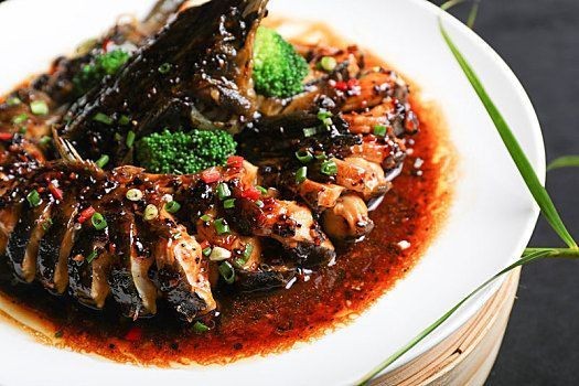 大連紅龍魚價格2688貴嗎？ 大連紅龍魚價格2688貴嗎？ 紅龍魚百科 第3張