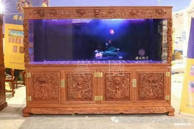 都江堰賣魚缸的地方有哪些 都江堰賣魚缸的地方有哪些 魚缸百科 第3張