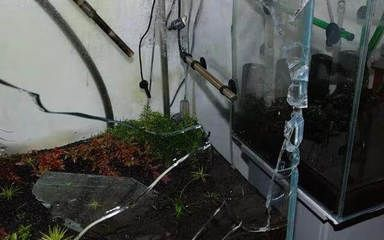 玻璃魚缸開裂如何處理最好：處理玻璃魚缸開裂的幾種方法：玻璃膠修補方法 玻璃魚缸開裂如何處理最好：處理玻璃魚缸開裂的幾種方法：玻璃膠修補方法 魚缸百科 第2張