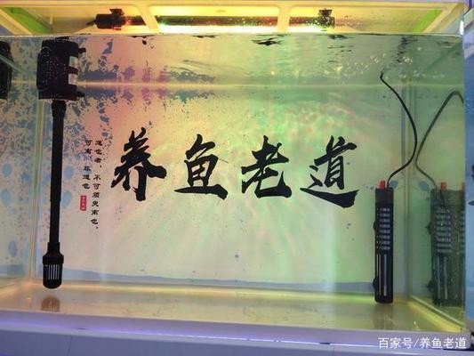森森小鯉壁掛過濾器怎么樣（森森小鯉壁掛過濾器怎么樣貼吧）