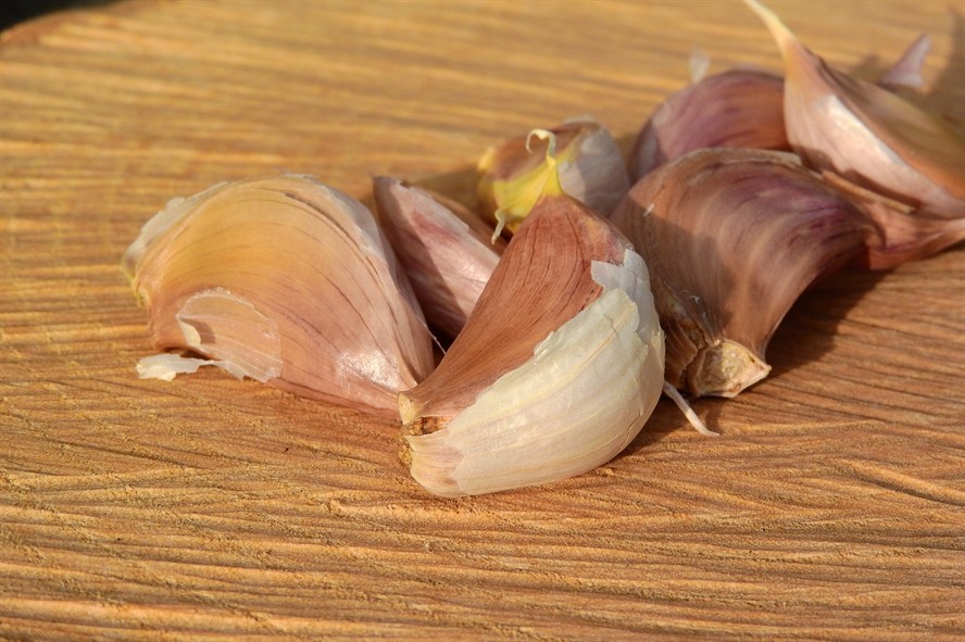 祥龍魚場批發帶魚多少錢一袋對應的信息，帶魚多少錢一件