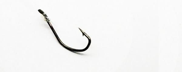 白條魚能在魚缸繁殖嗎怎么養：白條魚是一種比較好養的魚，需要注意以下幾個方面
