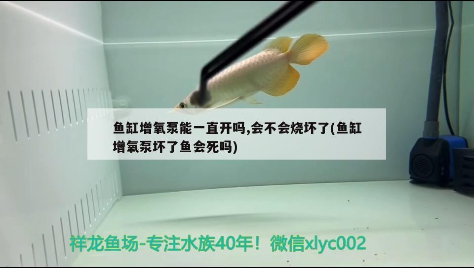 魚缸用什么過濾材料最好