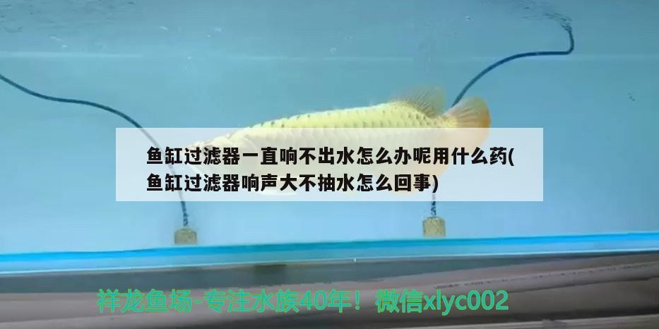 魚缸過濾器一直響不出水怎么辦呢用什么藥(魚缸過濾器響聲大不抽水怎么回事) 魚缸過濾器一直響不出水怎么辦呢用什么藥(魚缸過濾器響聲大不抽水怎么回事) 森森魚缸