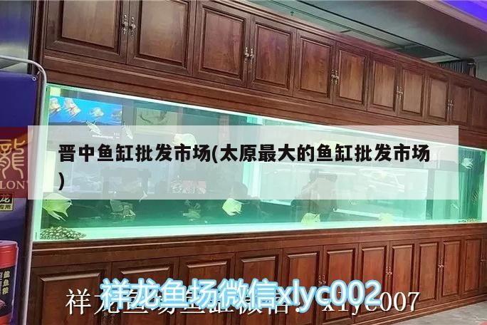 晉中魚缸批發(fā)市場(chǎng)(太原最大的魚缸批發(fā)市場(chǎng))