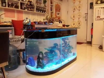 定做的魚缸和買的魚缸有什么不同之處：定做的魚缸和買的魚缸有什么區別