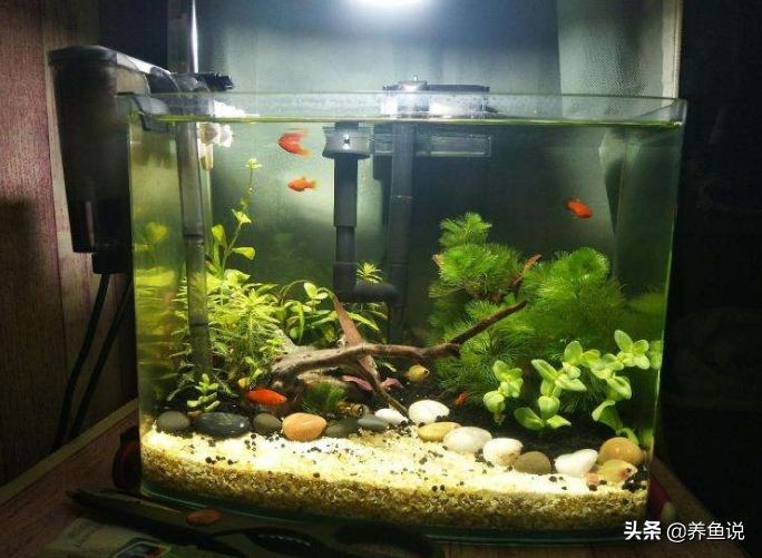 不養(yǎng)魚了魚缸怎么處理掉：不養(yǎng)魚了的魚缸處理方法