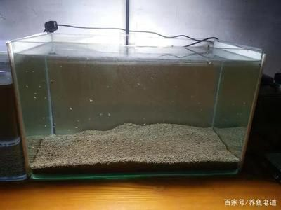 帶氧氣的魚缸怎么換水：帶氧氣的魚缸換水基本步驟和注意事項和注意事項 帶氧氣的魚缸怎么換水：帶氧氣的魚缸換水基本步驟和注意事項和注意事項 魚缸百科 第1張