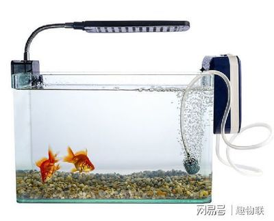 帶氧氣的魚缸怎么換水：帶氧氣的魚缸換水基本步驟和注意事項和注意事項 帶氧氣的魚缸怎么換水：帶氧氣的魚缸換水基本步驟和注意事項和注意事項 魚缸百科 第2張