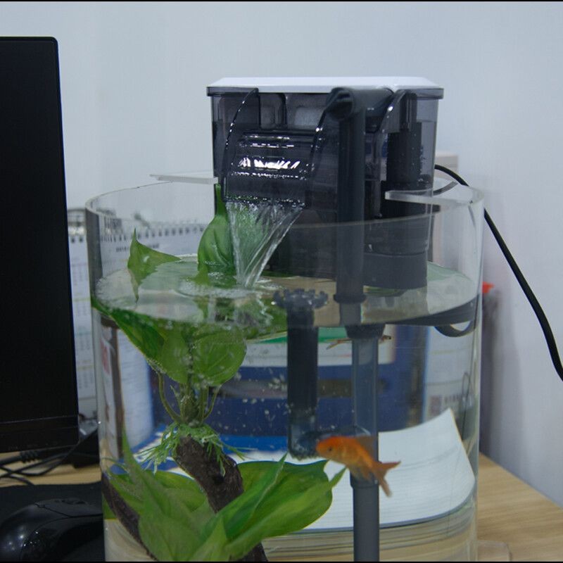 小魚缸三合一過濾器安裝視頻教程，三合一過濾器維護周期詳解 小魚缸三合一過濾器安裝視頻教程，三合一過濾器維護周期詳解 魚缸百科 第6張