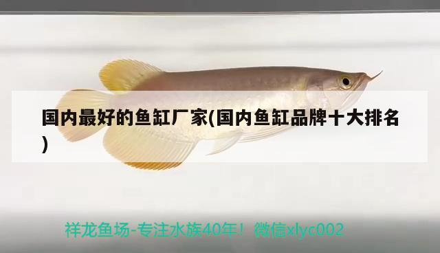 國內最好的魚缸廠家(國內魚缸品牌十大排名)