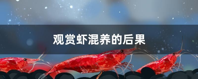 麗水哪里有魚缸賣呀圖片大全價格（麗水水族批發市場）