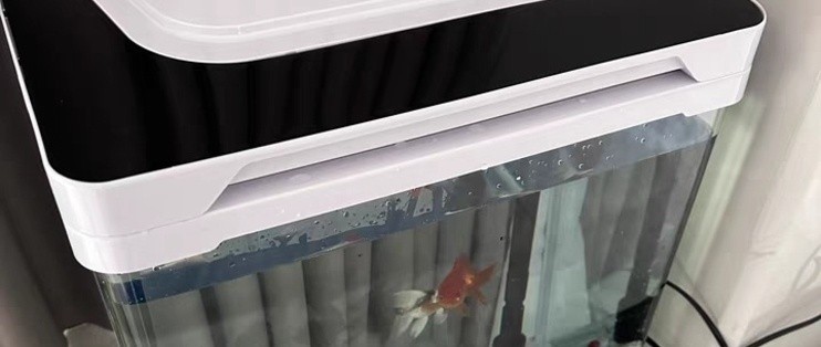 魚缸用增氧泵價格是多少:魚缸增氧機-xtrac增氧機-xtrac增氧機 魚缸里的燈光每天照射多長時間(魚缸燈光白天開還是晚上開) 觀賞魚百科 魚缸里的燈光每天照射多長時間(魚缸燈光白天開還是晚上開) 魚缸里的燈光每天照射多長時間(魚缸燈光白天開還是晚上開) 觀賞魚百科