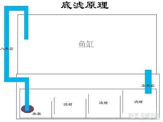 大魚缸清理水泵水管多少錢一個：大魚缸清理水泵水管價格因品牌、功能等因素而異