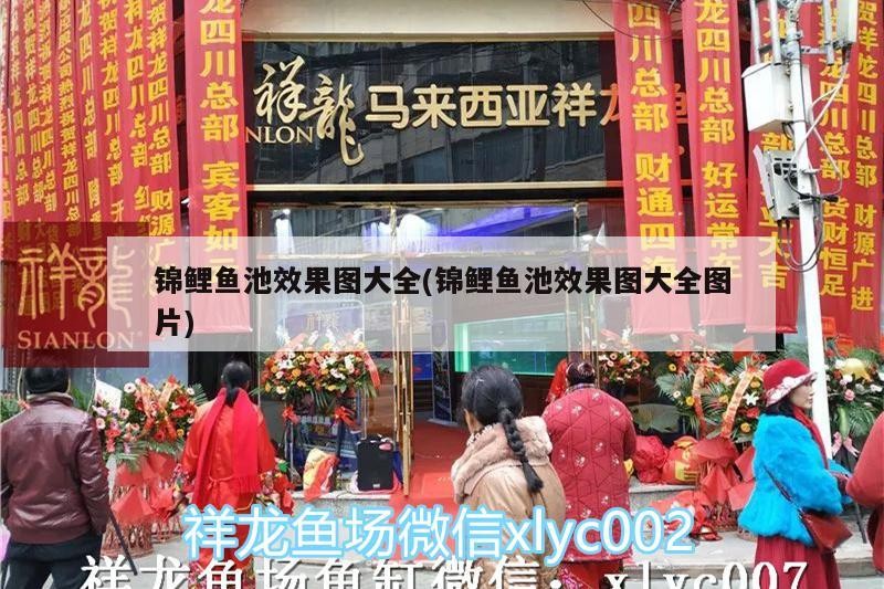 錦鯉魚池效果圖大全(錦鯉魚池效果圖大全圖片)