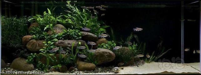 床頭柜能不能承受魚缸重量：如何選擇合適的魚缸底柜 床頭柜能不能承受魚缸重量：如何選擇合適的魚缸底柜 魚缸百科 第3張