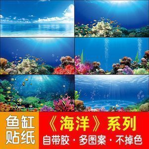 紅龍魚(yú)與室內(nèi)其他裝飾物的搭配：紅龍魚(yú)壁紙與室內(nèi)裝飾物的巧妙搭配
