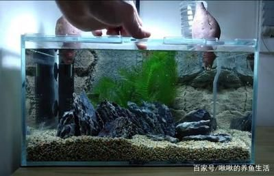 玻璃魚缸和亞克力魚缸：亞克力魚缸和亞克力魚缸選擇亞克力魚缸和亞克力魚缸