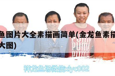 觀賞魚 銀龍魚圖片大全素描畫簡單(金龍魚素描圖片大全大圖) 銀龍魚百科 銀龍魚圖片大全素描畫簡單(金龍魚素描圖片大全大圖) 銀龍魚圖片大全素描畫簡單(金龍魚素描圖片大全大圖) 銀龍魚百科