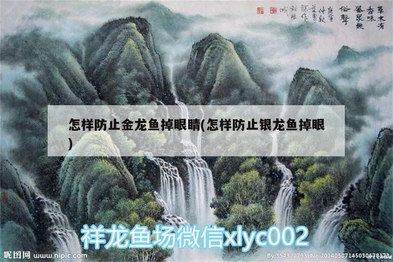 怎樣防止金龍魚掉眼睛(怎樣防止銀龍魚掉眼)