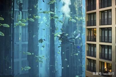 大魚缸怎么搬上樓梯：搬運大魚缸上樓梯搬家